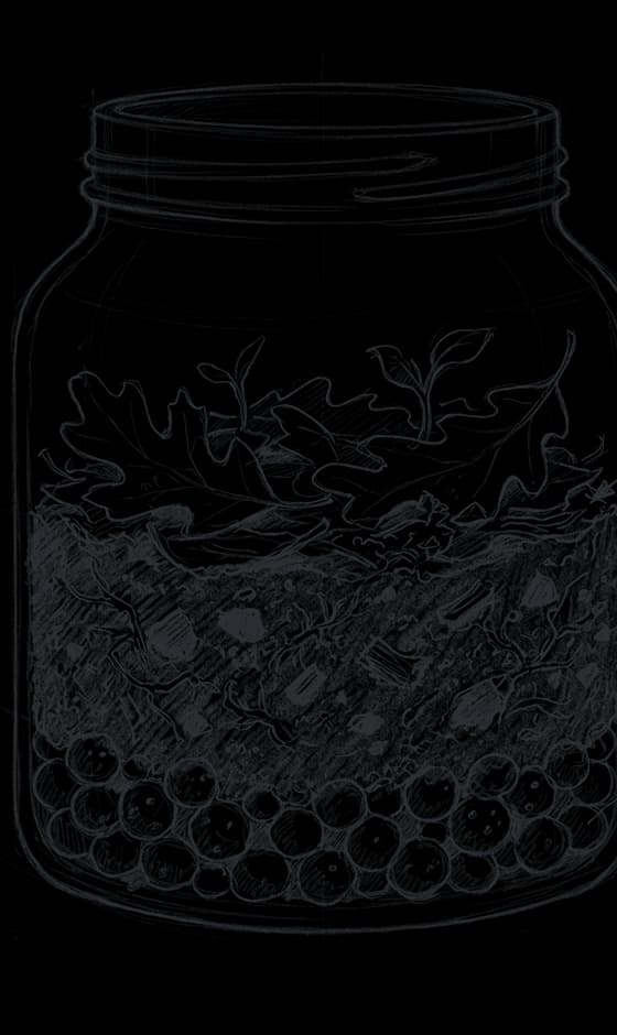 Pencil sketch of an enclosure's layers, drawn in a jar: oak leaves on top, dark soil with chunks of charcoal, and round clay pebbles at the bottom.