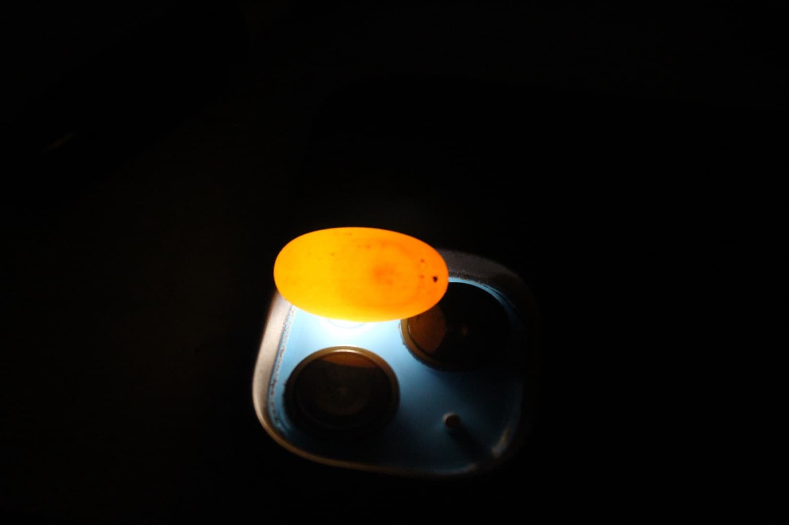 A crested gecko egg glowing orange on top of a phone flashlight in the dark